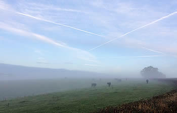 Views of the local countryside