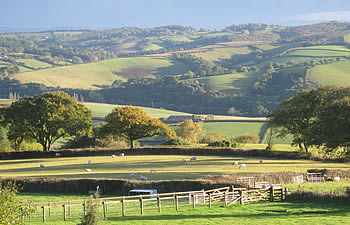 Views of the local landscape